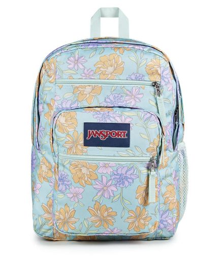 Big Student Multicolor - Mochilas